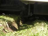 kopie_von_dscn8710