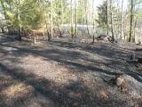 Waldbrand Erdmannsdorf, Alarmstufe 2, 28.03.2012