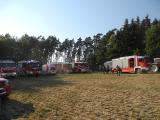 Flurbrand (Unterweitersdorf), 10.08.2015