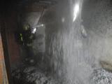 DSCN0649