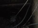 DSCN4231