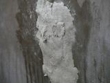 DSCN4235