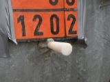 DSCN4241