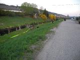 DSCN2085
