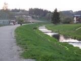 DSCN2090